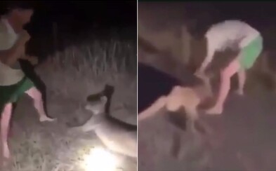 Muž sa zabával tým, že boxoval kenguru. Zvráteným videom sa chválil na internere Muž sa zabával tým, že boxoval kenguru. Zvráteným videom sa chválil na internere