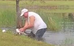Muž z Floridy zachránil štěně z tlamy krokodýla. Skočil do vody a psa vlastníma rukama vysvobodil