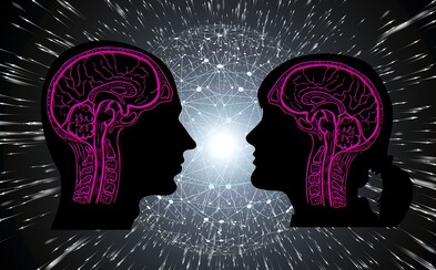Mužský vs ženský mozog: má vôbec mozog pohlavie? Mužský vs ženský mozog: má vôbec mozog pohlavie?