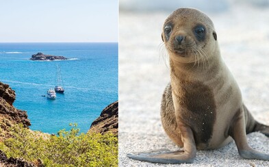 Na Galapágoch vznikne miesto hotelov prvá súkromná prírodná rezervácia Na Galapágoch vznikne miesto hotelov prvá súkromná prírodná rezervácia