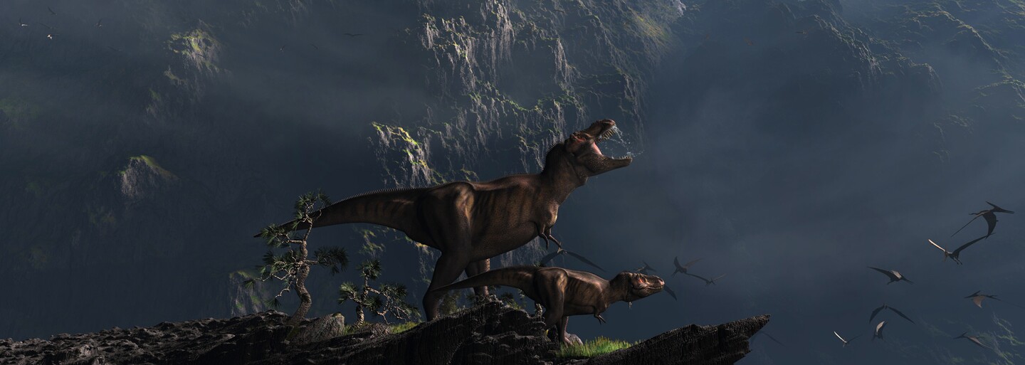 Na jihoamerické skále se nachází přes 5 000 otisků dinosauřích stop a kdysi se po ní procházel i sám Tyrannosaurus rex