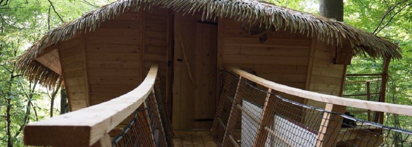 Na Slovensku vyrastajú domčeky na stromoch. Po Bratislave sa dá nájsť ďalší aj v Trenčianskych Tepliciach
