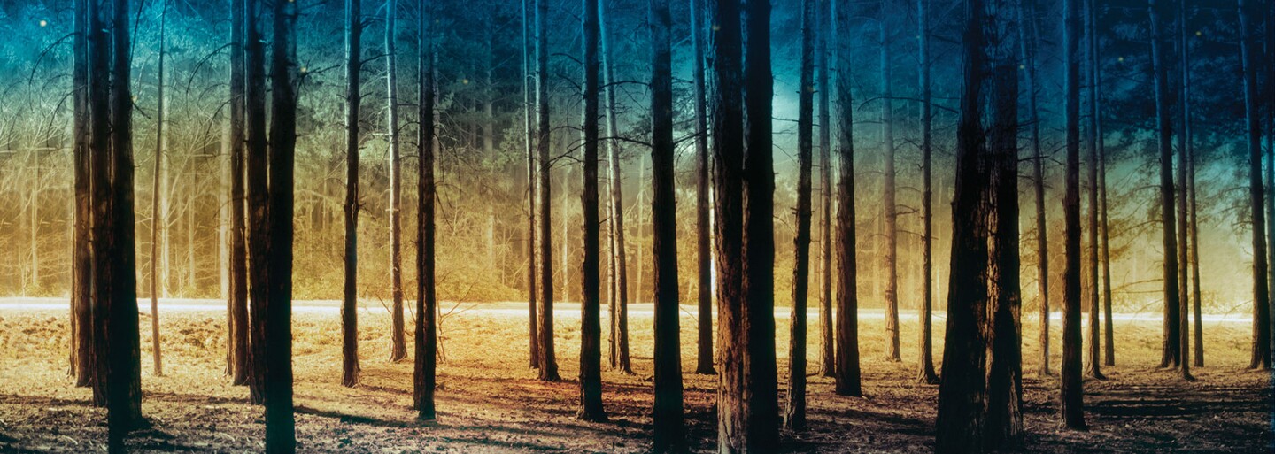 Na televízne pole sa chystá adaptácia úspešného románu The Passage v produkcii Ridleyho Scotta