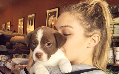 Na týdnu módy v Miláně se ocitla i malá štěňátka. Mělo to hlubší smysl, nebo byla použita jen jako doplněk? Na týdnu módy v Miláně se ocitla i malá štěňátka. Mělo to hlubší smysl, nebo byla použita jen jako doplněk?