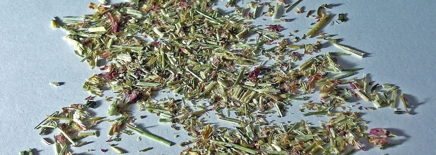 Na východnom Slovensku sa z ľudí stávajú zombíci. Nebezpečná droga mení feťákov na nepoznanie