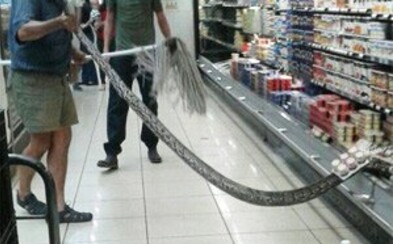 Natáhla se v supermarketu po jogurt a objevila tam téměř 4metrovou krajtu. Nepříjemné překvapení v chladícím boxu nakupující nepotěšilo Natáhla se v supermarketu po jogurt a objevila tam téměř 4metrovou krajtu. Nepříjemné překvapení v chladícím boxu nakupující nepotěšilo