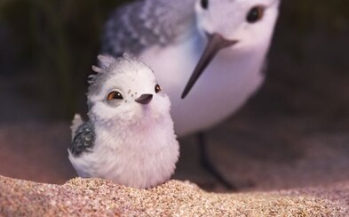Nádherná animace a upřímný příběh v krátkém filmu Piper od Pixaru chytne za srdce každého Nádherná animace a upřímný příběh v krátkém filmu Piper od Pixaru chytne za srdce každého