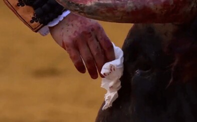 Najprv býkovi zotrel krv a slzy, potom ho zavraždil. Matador svojím činom pobúril ľudí Najprv býkovi zotrel krv a slzy, potom ho zavraždil. Matador svojím činom pobúril ľudí