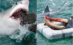 Najväčší útok žralokov v histórii. Zabili zhruba 150 ľudí, na hladine plávali odhryznuté časti tiel