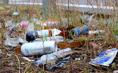 Národní park vrací návštěvníkům odpadky poštou. V Thajsku se s nepořádnými turisty nemazlí Národní park vrací návštěvníkům odpadky poštou. V Thajsku se s nepořádnými turisty nemazlí