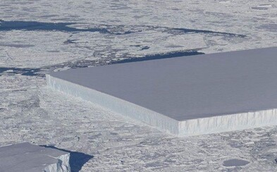 NASA úplnou náhodou našla dokonalý ledovec, který vypadá, jako by ho někdo nařezal NASA úplnou náhodou našla dokonalý ledovec, který vypadá, jako by ho někdo nařezal