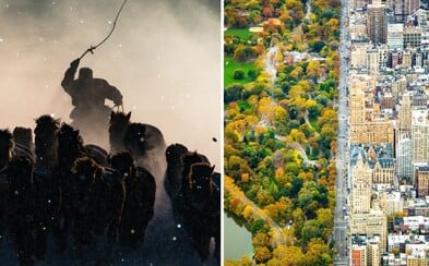 National Geographic vyhlásil nejkrásnější cestovatelské fotografie roku. Soutěž opět prokázala svou mimořádnou kvalitu National Geographic vyhlásil nejkrásnější cestovatelské fotografie roku. Soutěž opět prokázala svou mimořádnou kvalitu