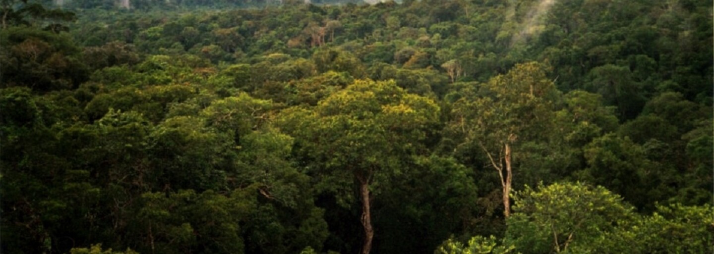 National Geographic zachytila unikátne fotografie ohrozeného amazonského kmeňa