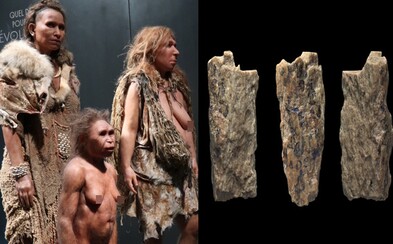 Neandrtálská matka, denisovanský otec. Na Sibiři našli první důkaz křížení dvou druhů našich předků Neandrtálská matka, denisovanský otec. Na Sibiři našli první důkaz křížení dvou druhů našich předků
