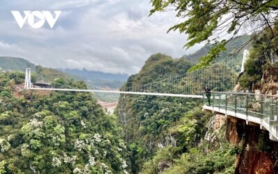 Nejdelší most s proskleným dnem na světě. Bach Long ve Vietnamu tě dostane 95 metrů nad zem