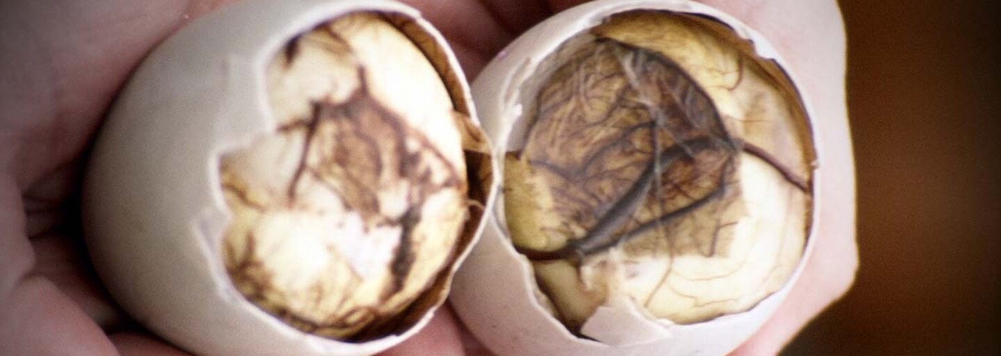 Netopýří polévka, červivý sýr či smažené tarantule aneb nejodpornější pochoutky ze všech koutů světa