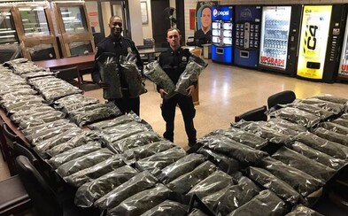 Newyorskí policajti sa chválili s veľkým drogovým úlovkom. Išlo však o legálne konope, nie marihuanu Newyorskí policajti sa chválili s veľkým drogovým úlovkom. Išlo však o legálne konope, nie marihuanu