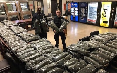 Newyorskí policajti sa chválili s veľkým drogovým úlovkom. Išlo však o legálne konope, nie marihuanu