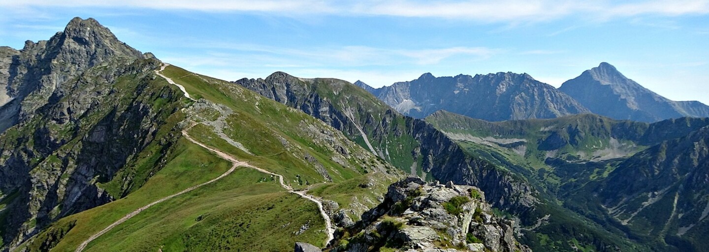 Niekto v Tatrách schválne narezal vzácne 130-ročné jedle, ktoré teraz do dvoch mesiacov vyschnú