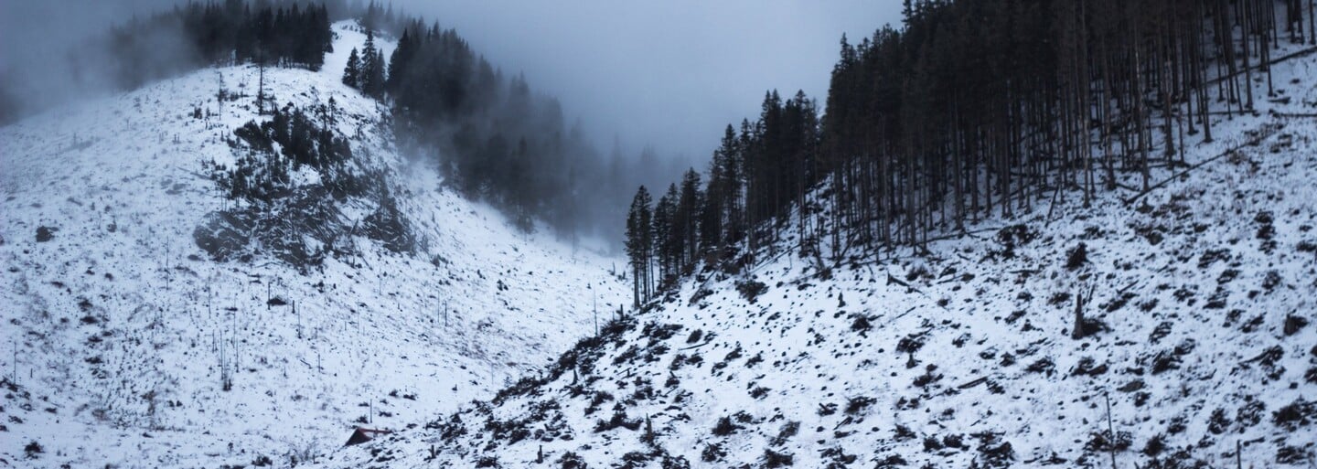 Nízke Tatry sa menia na gigantické rúbanisko. Slovenka vyrobila ironické pohľadnice ukazujúce odvrátenú tvár Jasnej