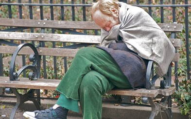 Nocleženek se letošní zimu prodalo na 30 tisíc. Pětkrát více než loni Nocleženek se letošní zimu prodalo na 30 tisíc. Pětkrát více než loni