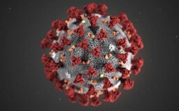 Nový koronavirus objevili ve vzorcích z odpadních vod z března 2019. Barcelonská studia může nabourat chronologii šíření