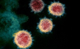 Nový koronavírus SARS-CoV-2 nebol vytvorený v laboratóriu, preukázali vedci