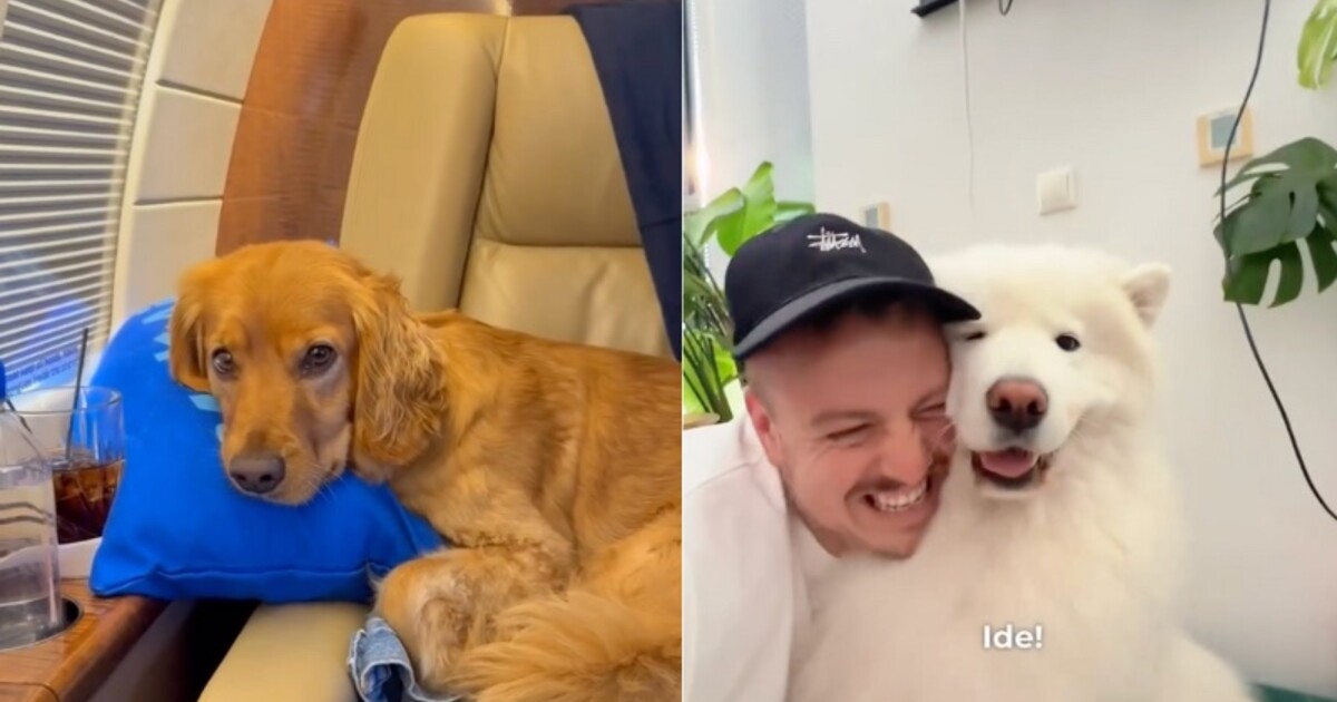 Slovák roky šetřil na soukromý let do New Yorku za 400 tisíc korun. Důvodem byl jeho pes