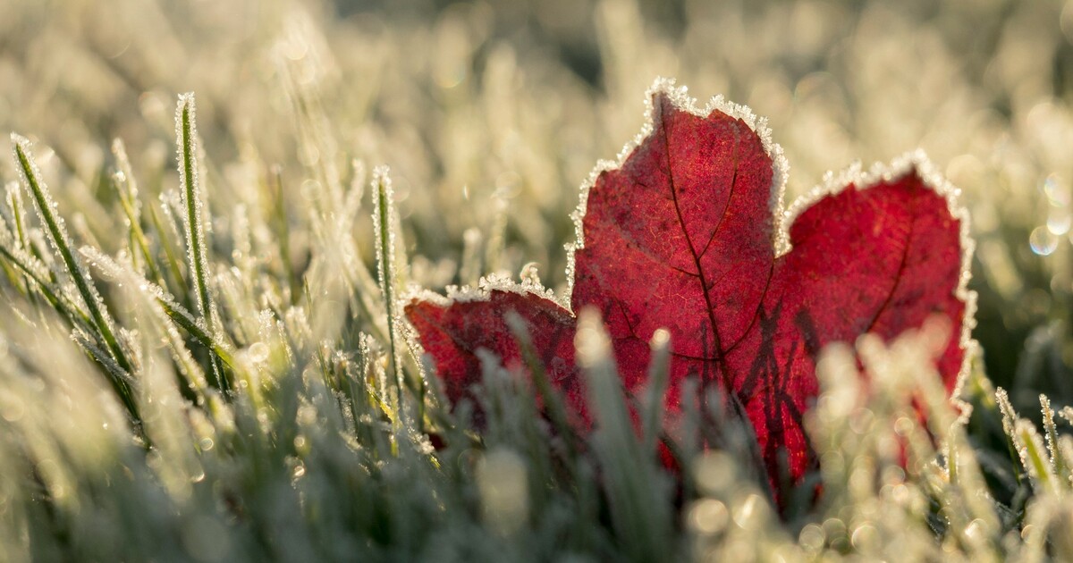 PŘEDPOVĚĎ: Ještě se ochladí. Teploty o víkendu spadnou i pod nulu