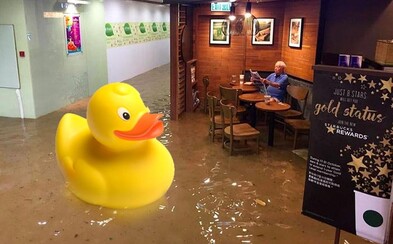 O nic se nestarající stařík sedící v zatopeném Starbucksu inspiroval zábavné fotomontáže. Noviny jsou někdy nejdůležitější O nic se nestarající stařík sedící v zatopeném Starbucksu inspiroval zábavné fotomontáže. Noviny jsou někdy nejdůležitější