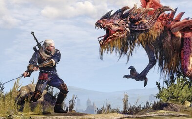 O seriálovou adaptaci slavné série The Witcher od Netflixu se postará scénáristka Daredevila a The Defenders O seriálovou adaptaci slavné série The Witcher od Netflixu se postará scénáristka Daredevila a The Defenders