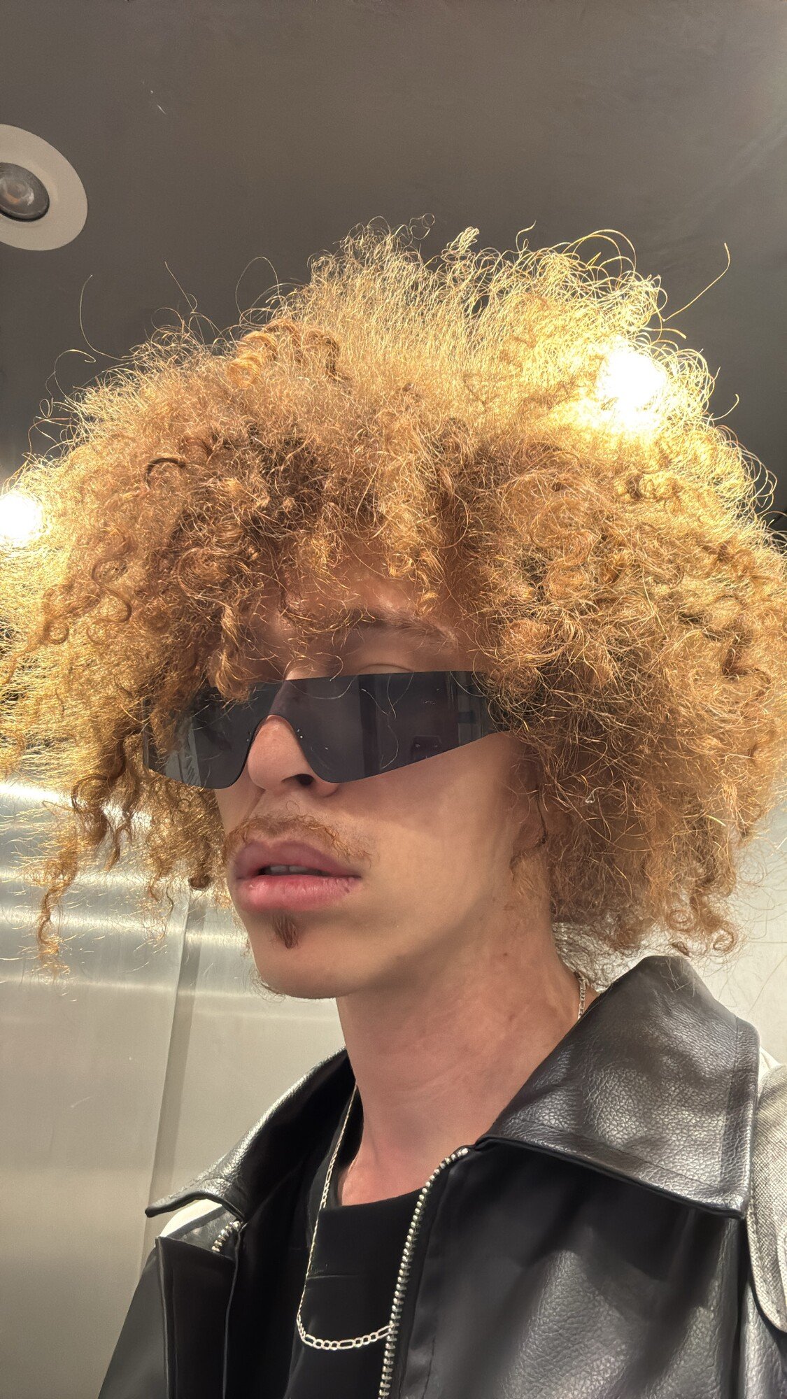 levakbob