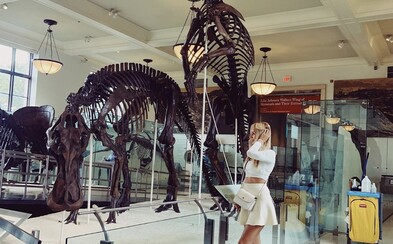 Obrovská kostra Tyrannosaura Rexa môže byť tvoja za 6 miliónov dolárov Obrovská kostra Tyrannosaura Rexa môže byť tvoja za 6 miliónov dolárov