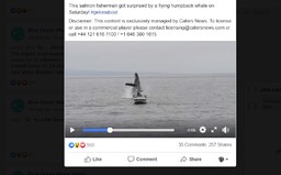 Obrovská veľryba vyskočila z vody za malou rybárskou loďkou. Rybár nechcel veriť vlastným očiam