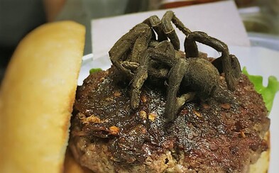 Ochutnal by si burger s opečenou tarantulou? Americká reštaurácia dopĺňa svoje pokrmy aj mäsom z korytnačky či aligátora Ochutnal by si burger s opečenou tarantulou? Americká reštaurácia dopĺňa svoje pokrmy aj mäsom z korytnačky či aligátora