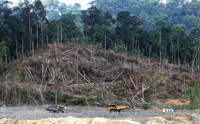 Míra odlesňování Amazonského pralesa za minulý rok vzrostla o 20 procent Míra odlesňování Amazonského pralesa za minulý rok vzrostla o 20 procent