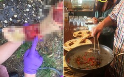 Odrezal si kus nohy, pozval 10 kamarátov a spolu ju zjedli. Nechutila ako kuracie mäso, skonštatovala partia nových kanibalov