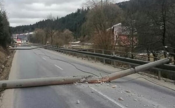 Orkán Júlia zhadzoval stromy aj elektrické vedenia. V Bratislave fúkal vietor nárazovou rýchlosťou 108 kilometrov za hodinu