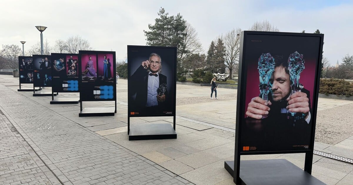 Čeští lvi se blíží! Minulé vítěze a vítězky si můžeš prohlédnout na výstavě před Kongresákem