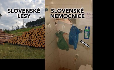 Otrasné zdravotníctvo a zničená krajina. Za príšerný stav Slovenska si ľahostajnosťou môžeme sami, týchto 7 filmov sa to snaží zmeniť Otrasné zdravotníctvo a zničená krajina. Za príšerný stav Slovenska si ľahostajnosťou môžeme sami, týchto 7 filmov sa to snaží zmeniť