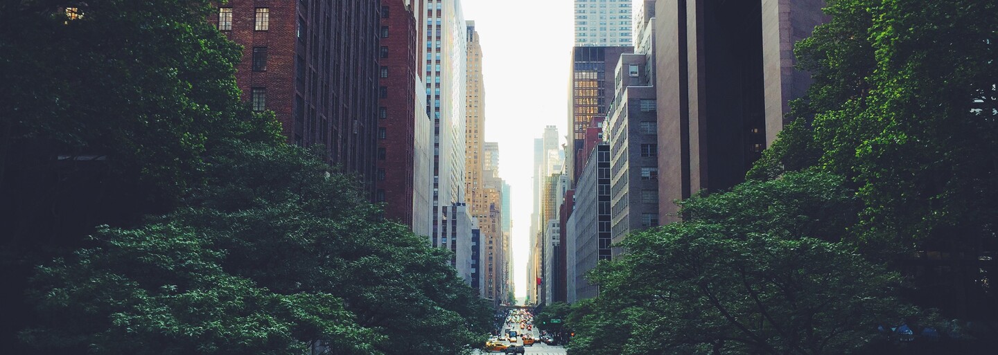 Pakistanský lekár si v New Yorku hľadá izbu a ľudia sa naňho nemôžu vynadívať. Ženy si ho chcú vziať za muža a s bývaním nie je žiadny problém