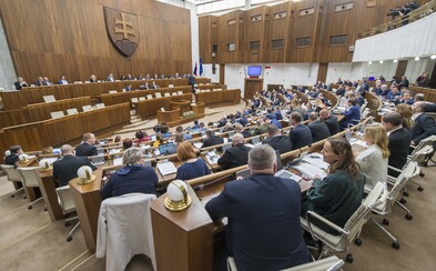 Parlament neschválil návrh zákona, ktorý mal sťažiť prístup k interupciám Parlament neschválil návrh zákona, ktorý mal sťažiť prístup k interupciám