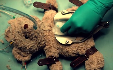 PETA v reklame pitvá medvedíka. Ničením plyšovej hračky poukazuje na problematiku testovania na zvieratách PETA v reklame pitvá medvedíka. Ničením plyšovej hračky poukazuje na problematiku testovania na zvieratách