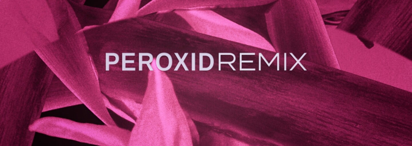 Pil C predstavuje remix na skladbu Peroxid a oznamuje, kedy by sme sa mohli dočkať jeho prvého sóla