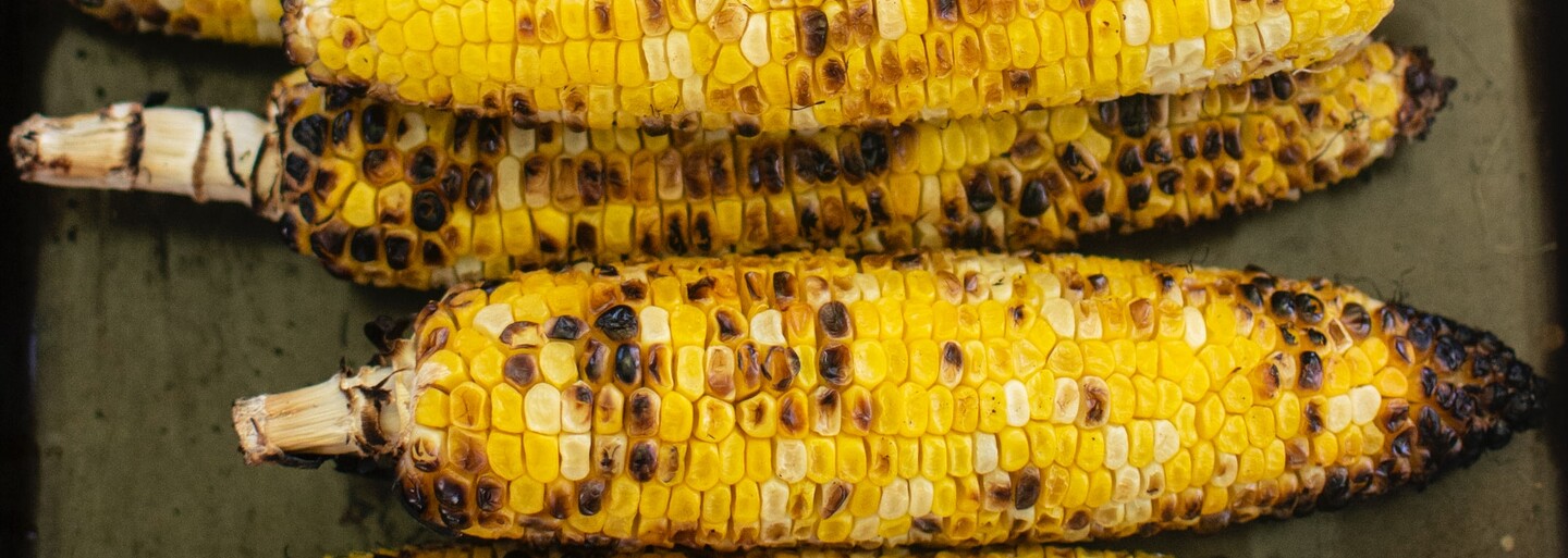 Píseň It's Corn ovládla sociální sítě. Podívej se na výběr nejlepších videí