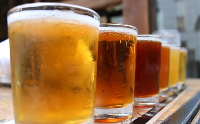 Pivní skaut: V Belgicku som vyskúšal pivo, ktoré sa hrdí chuťou pripomínajúcou mačací moč Pivní skaut: V Belgicku som vyskúšal pivo, ktoré sa hrdí chuťou pripomínajúcou mačací moč