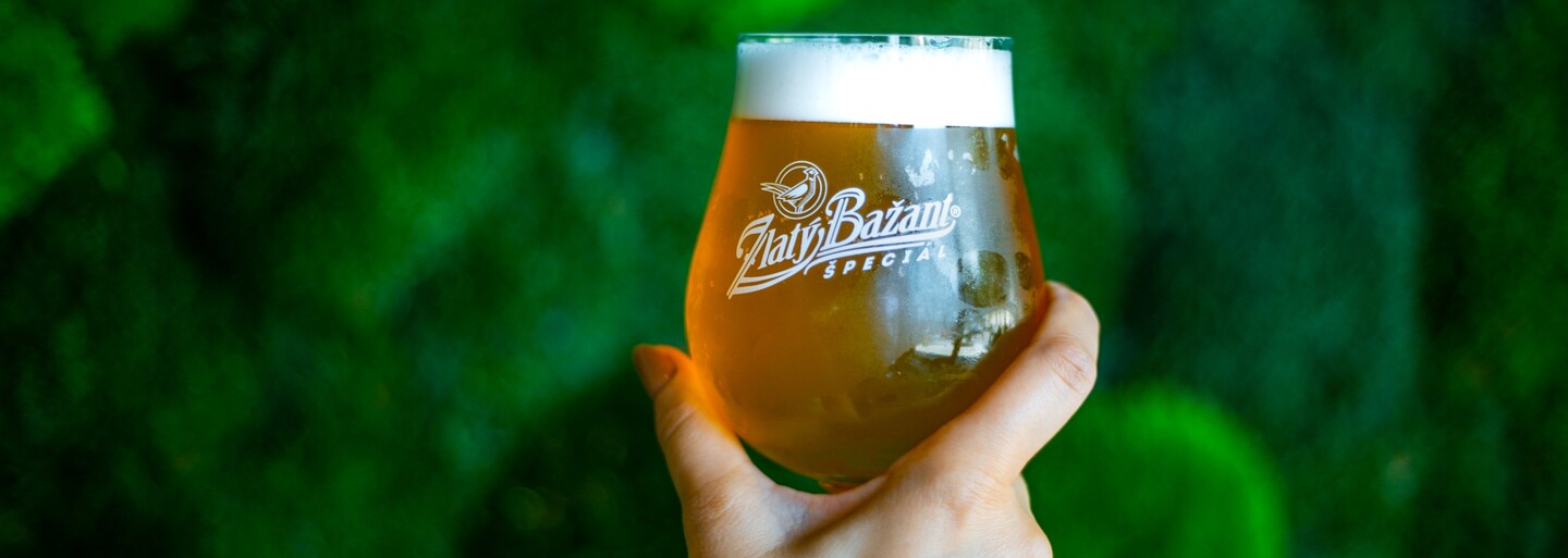 Pivný slovník: Zorientuj sa v pivných výrazoch a objednávaj pivo ako profík