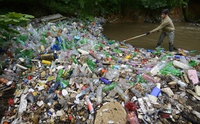 Plastovým slamkám na Slovensku odzvonilo. Tieto jednorazové plasty budú od roku 2021 zakázané Plastovým slamkám na Slovensku odzvonilo. Tieto jednorazové plasty budú od roku 2021 zakázané