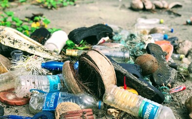Plasty objavili v telách zvierat už aj na jednom z najodľahlejších ostrovov sveta. Znečistenie hrozí celému ekosystému Plasty objavili v telách zvierat už aj na jednom z najodľahlejších ostrovov sveta. Znečistenie hrozí celému ekosystému