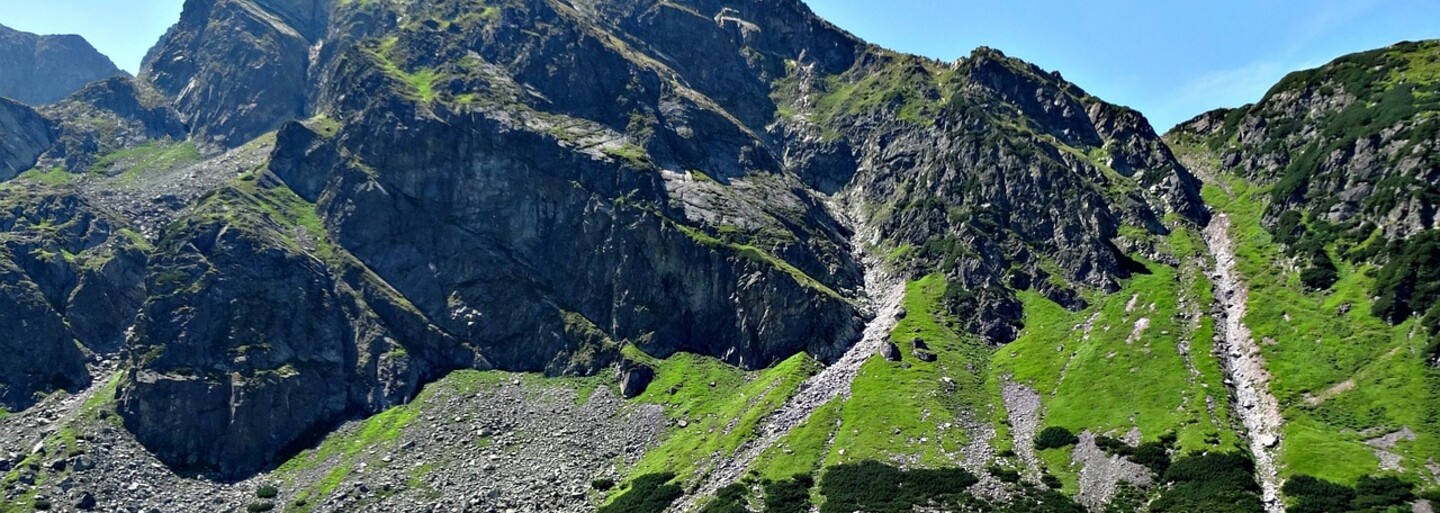 Po tatranských Rysoch pobehuje roztomilá mačka domáca, do ktorej sa turisti zamilovali. Nechápu, ako sa vyšplhala tak vysoko